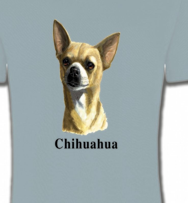 Chihuahua (C)