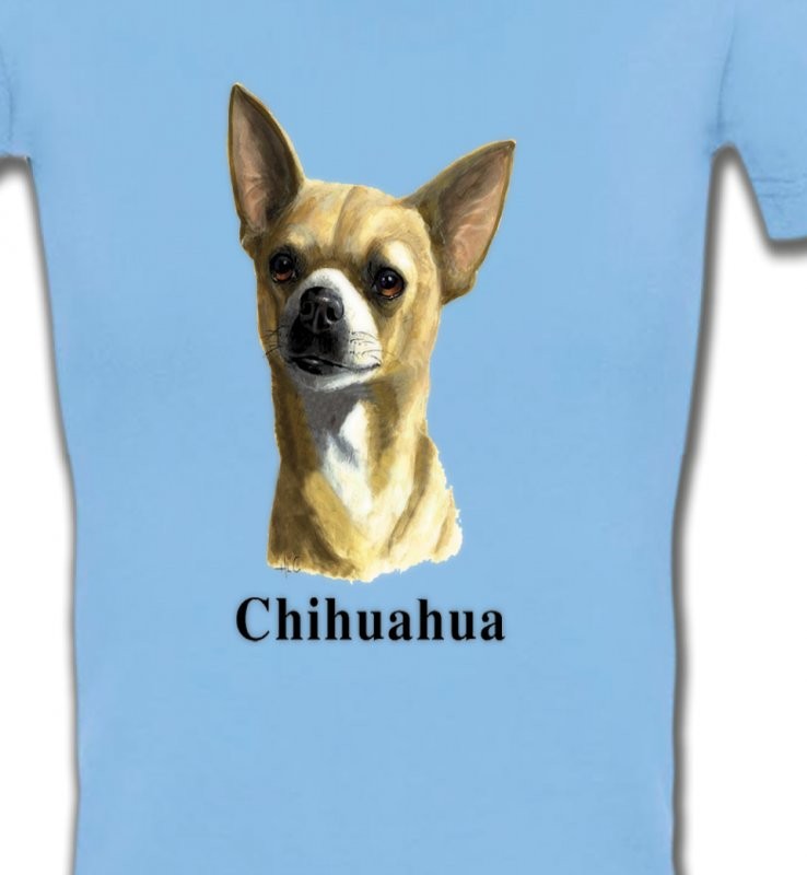 Chihuahua (C)