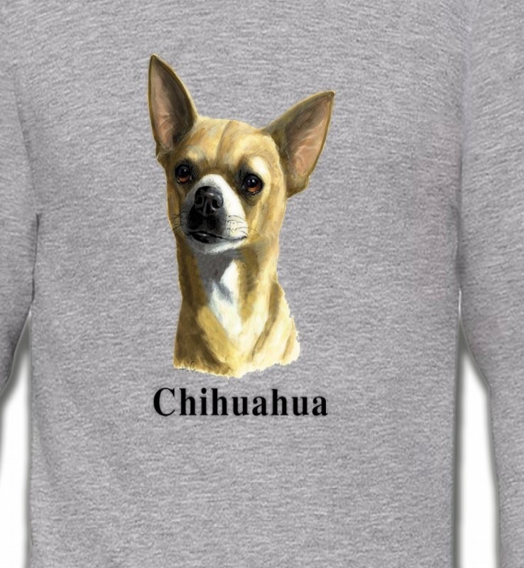 Chihuahua (C)