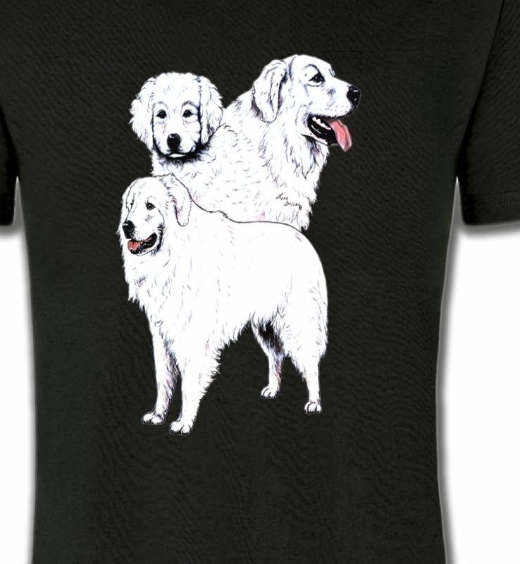 Kuvasz blanc (B)