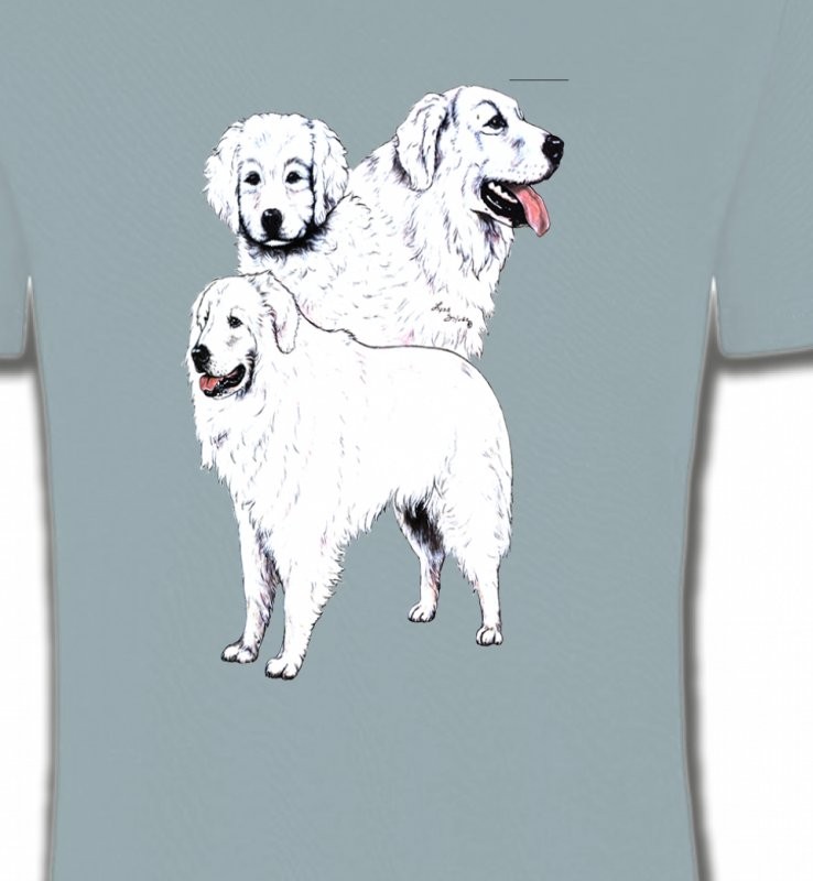 Kuvasz blanc (B)