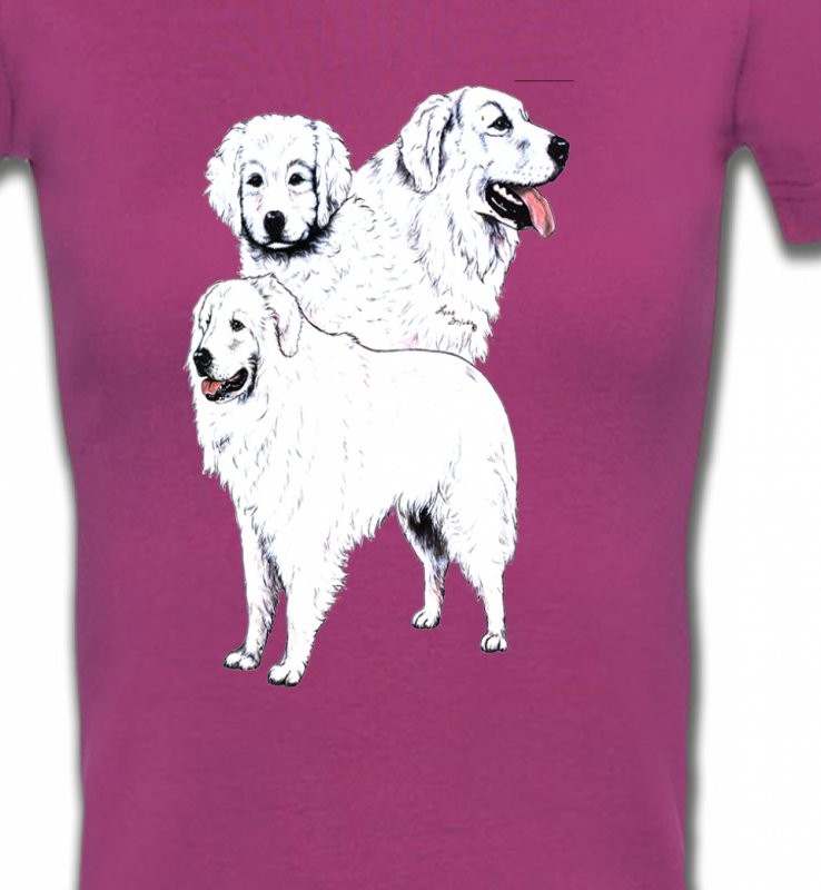Kuvasz blanc (B)