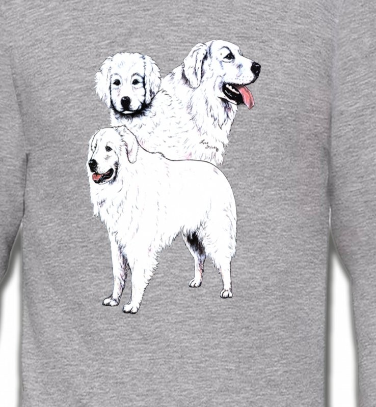 Kuvasz blanc (B)