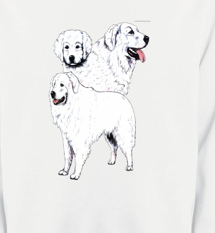 Kuvasz blanc (B)