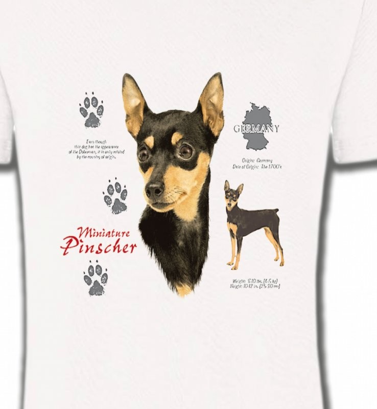 Pincher (A)
