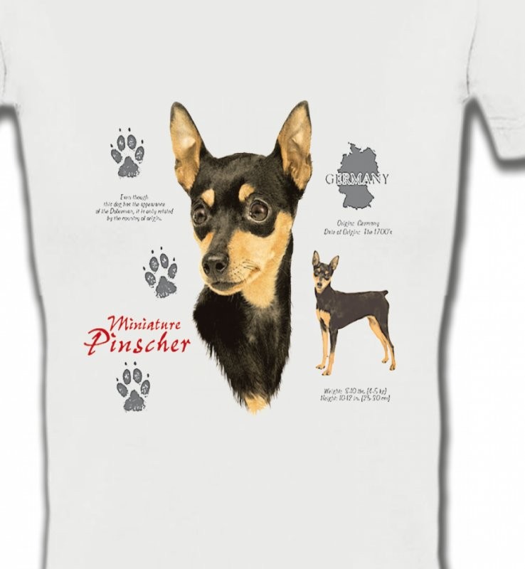 Pincher (A)