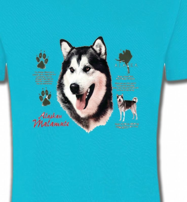 Alaskan malamute