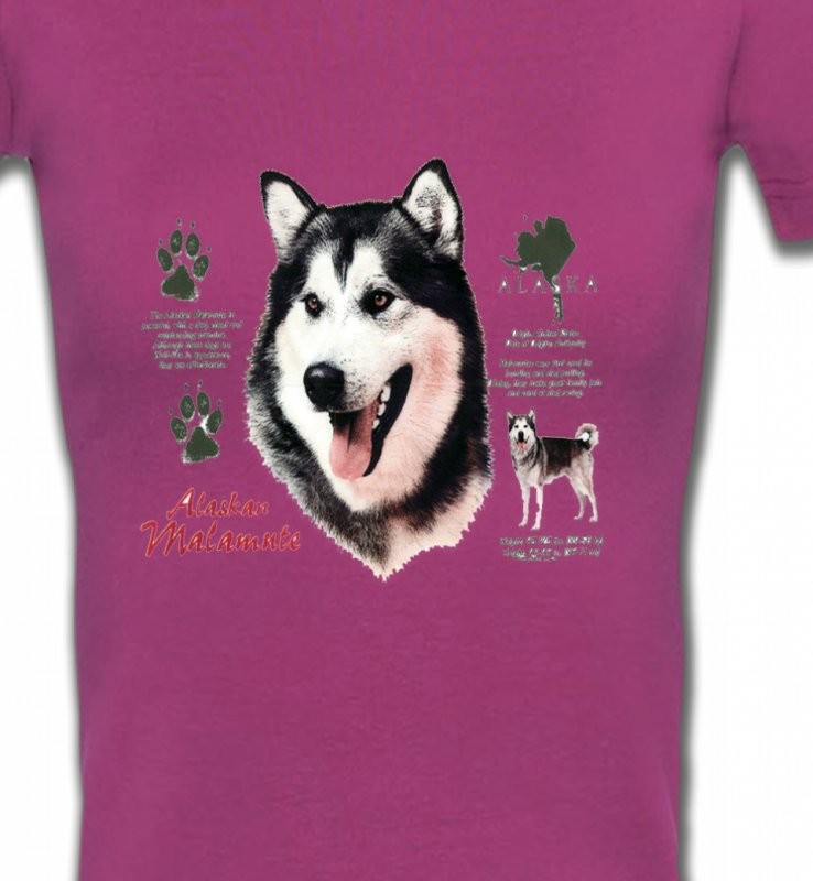 Alaskan malamute