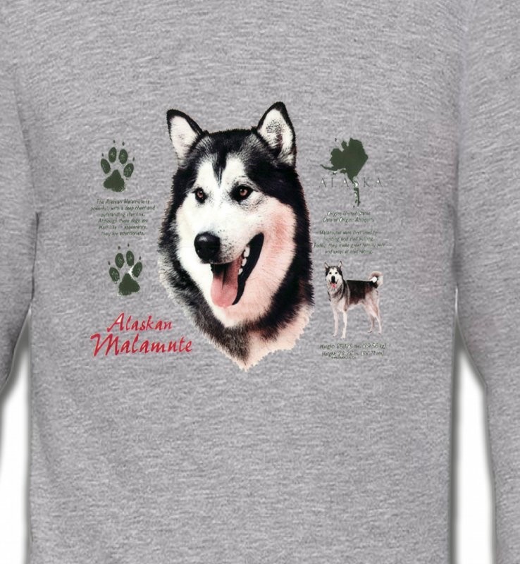 Alaskan malamute
