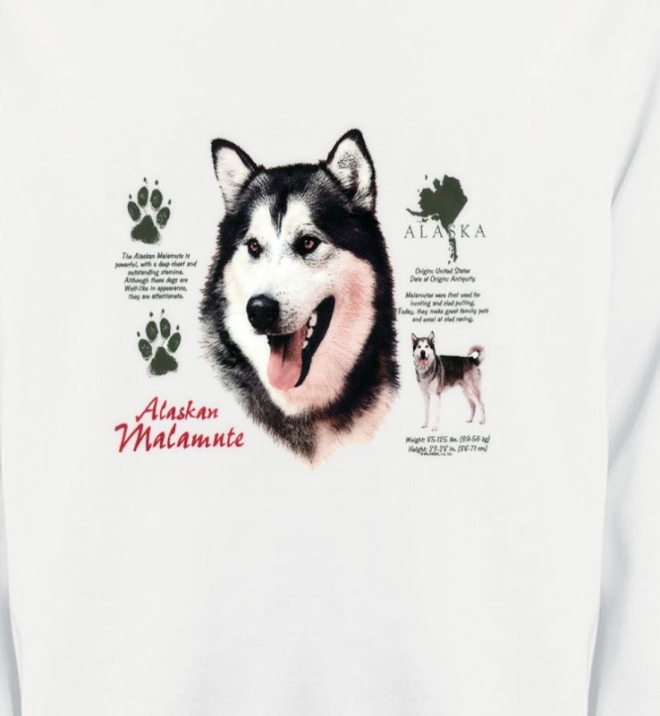 Alaskan malamute