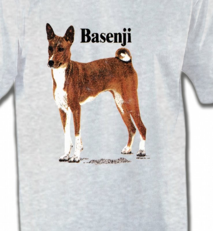 Basenji (B)