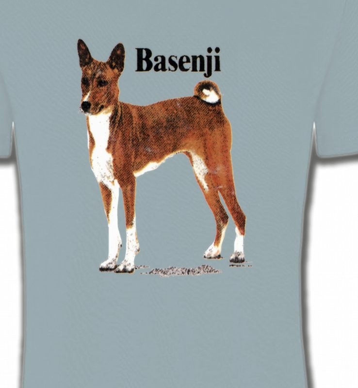 Basenji (B)