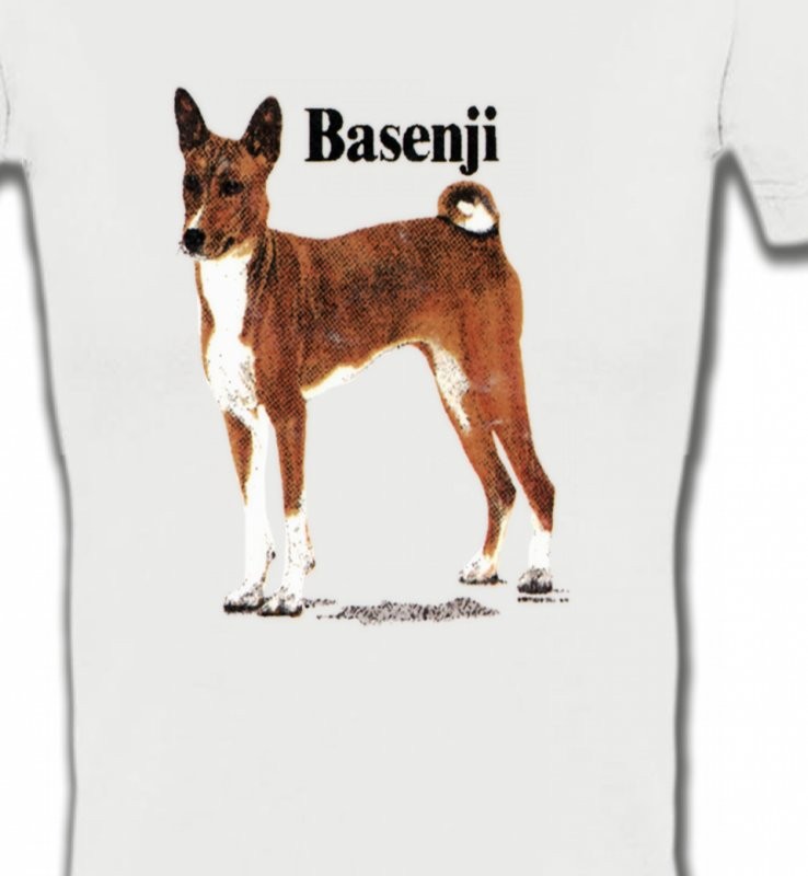 Basenji (B)