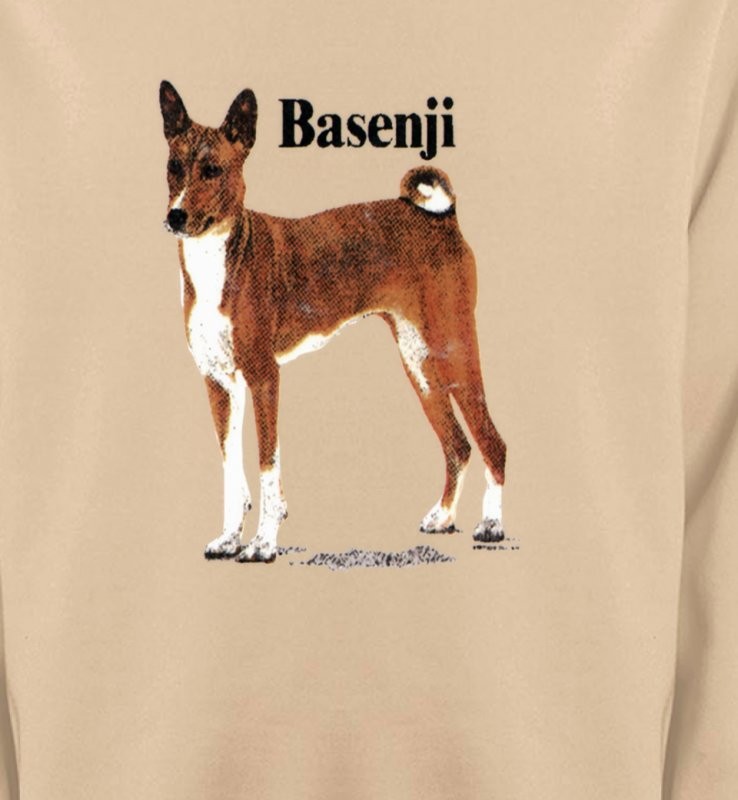 Basenji (B)