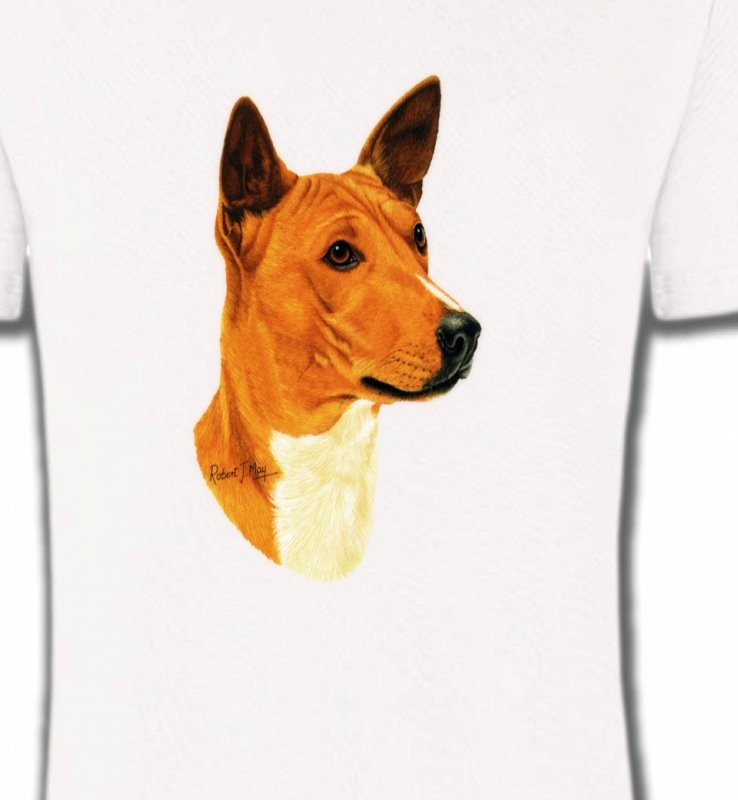 Basenji (A)