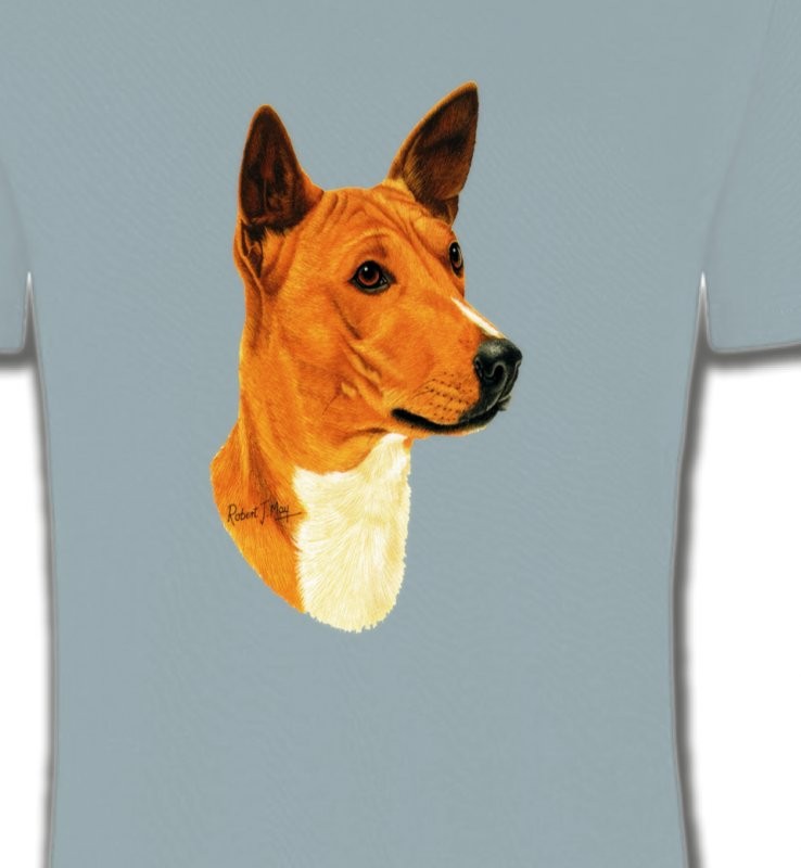 Basenji (A)