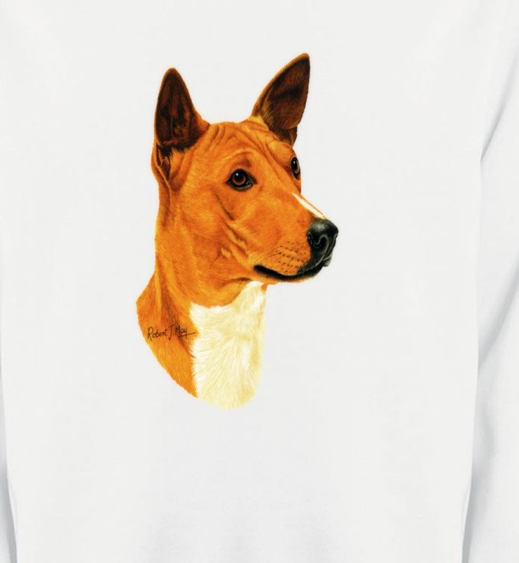 Basenji (A)