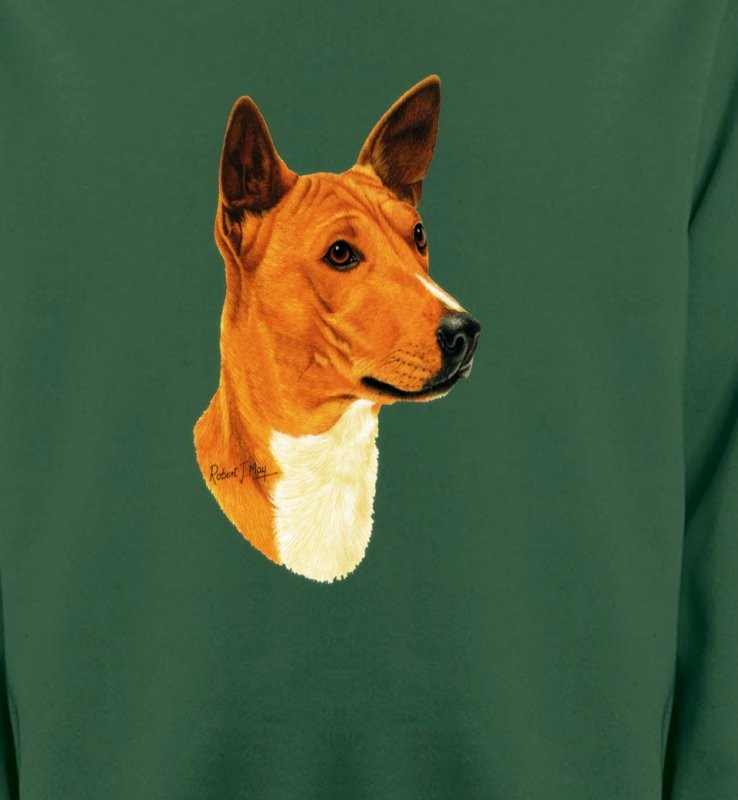 Basenji (A)