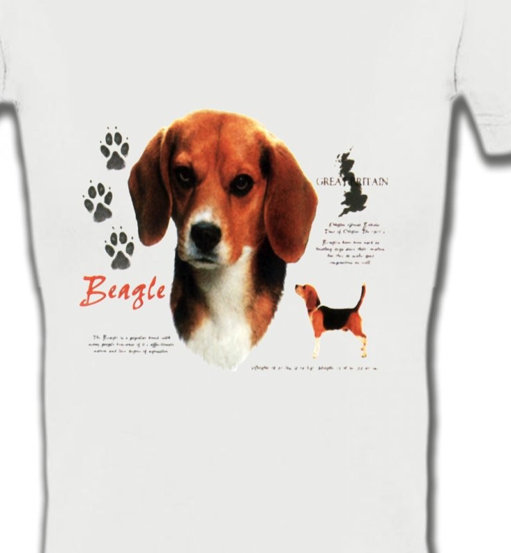 Beagle (A)