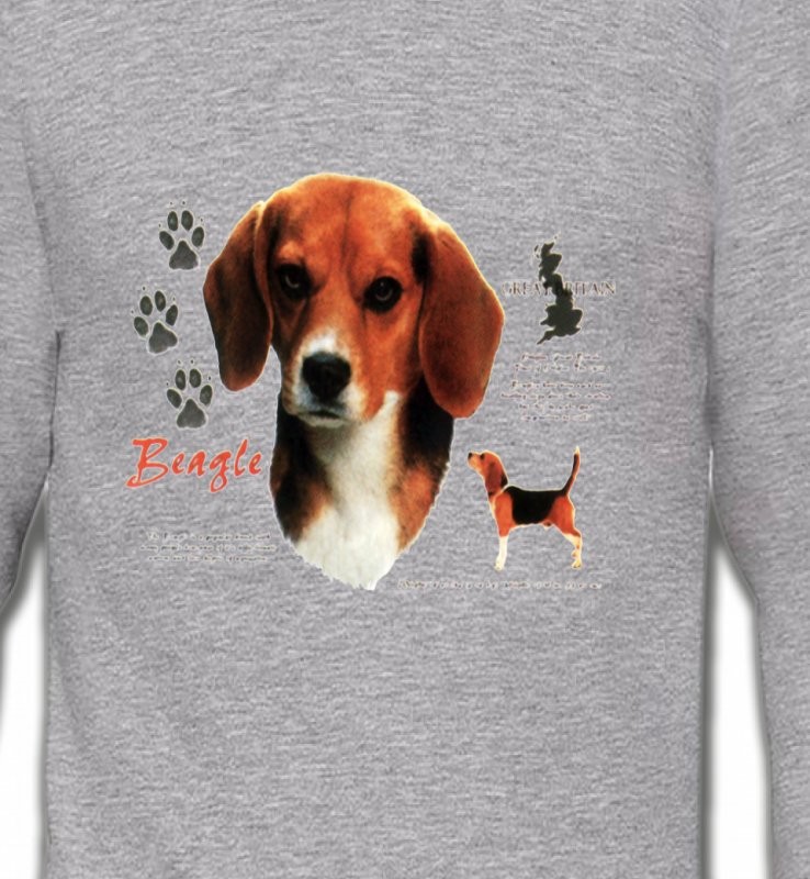 Beagle (A)