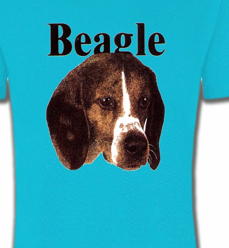 Beagle (D)