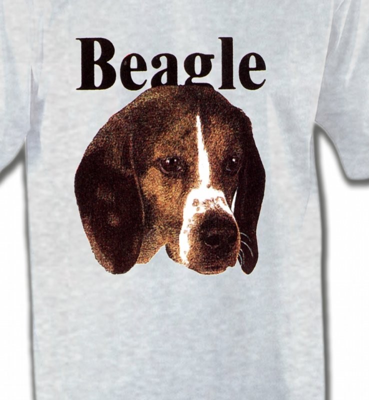 Beagle (D)