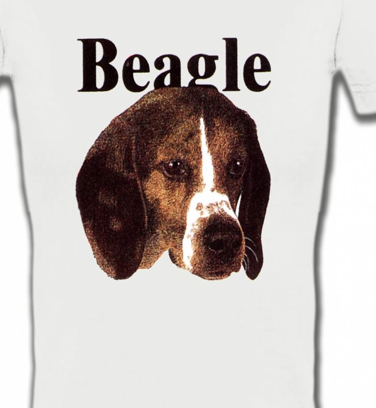 Beagle (D)