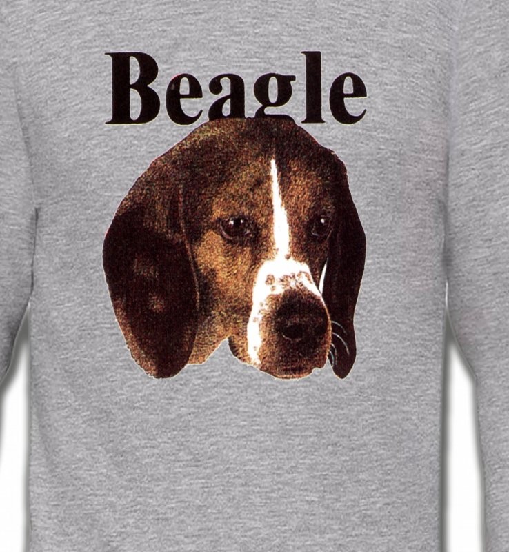 Beagle (D)