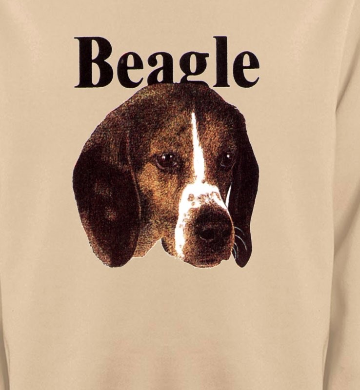 Beagle (D)