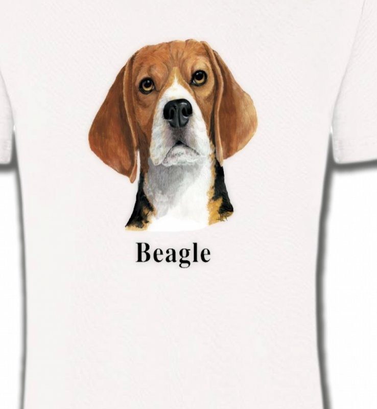 Beagle (C)
