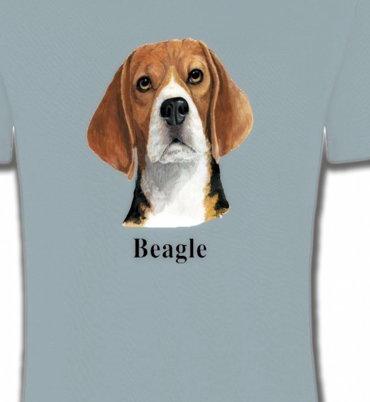 Beagle (C)