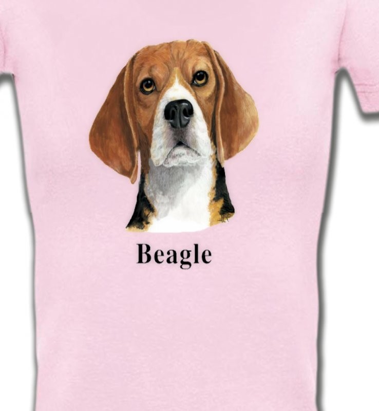 Beagle (C)