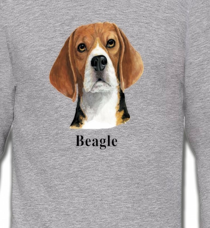 Beagle (C)