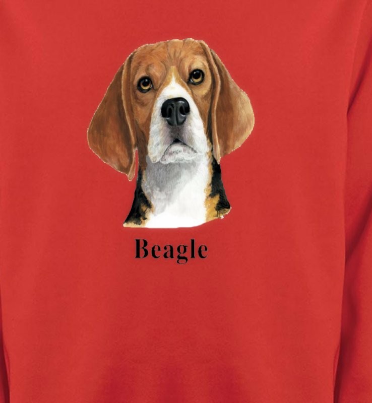 Beagle (C)