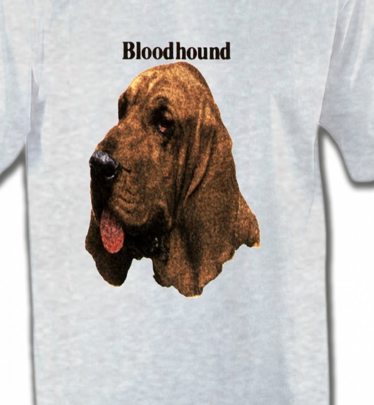 Bloodhound – Saint-Hubert (A)