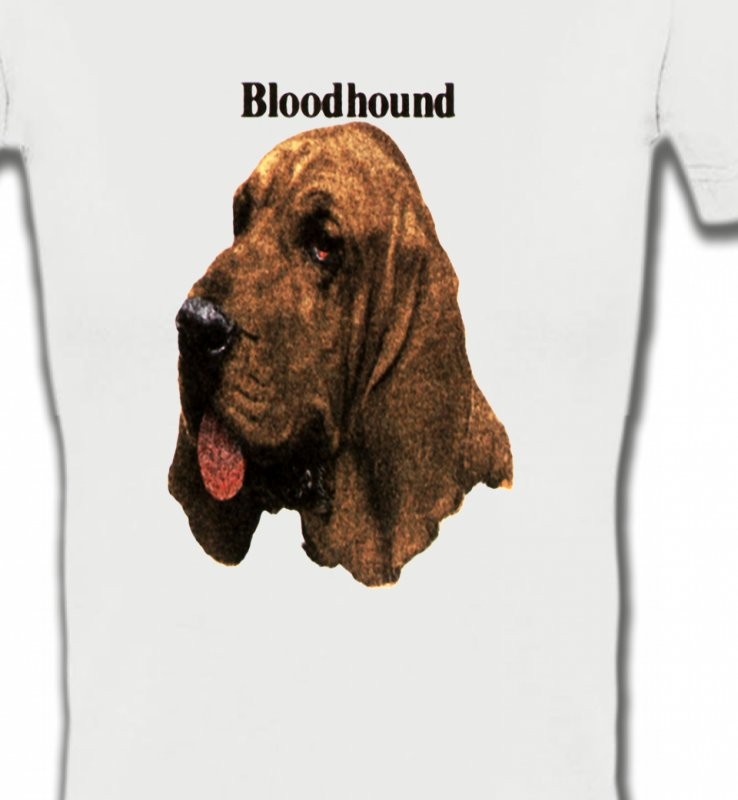 Bloodhound – Saint-Hubert (A)