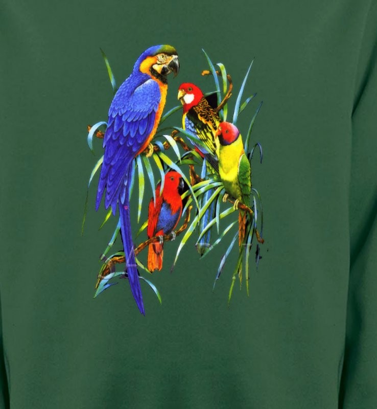 Perroquets Ara dans un arbre (T)