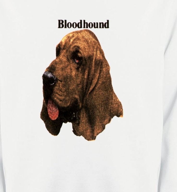 Bloodhound – Saint-Hubert (A)