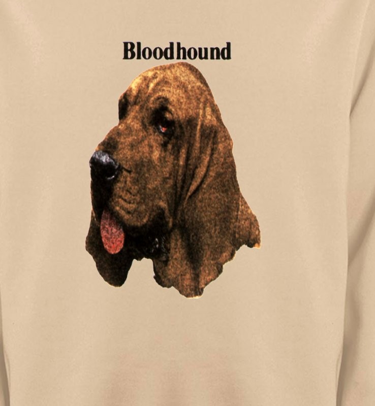 Bloodhound – Saint-Hubert (A)