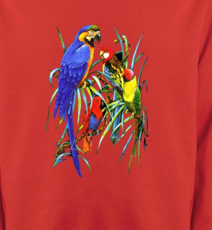 Perroquets Ara dans un arbre (T)