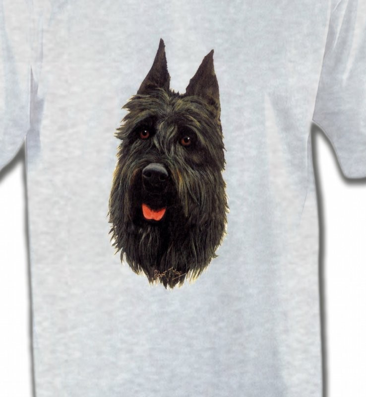 Bouvier des Flandres noir (A)