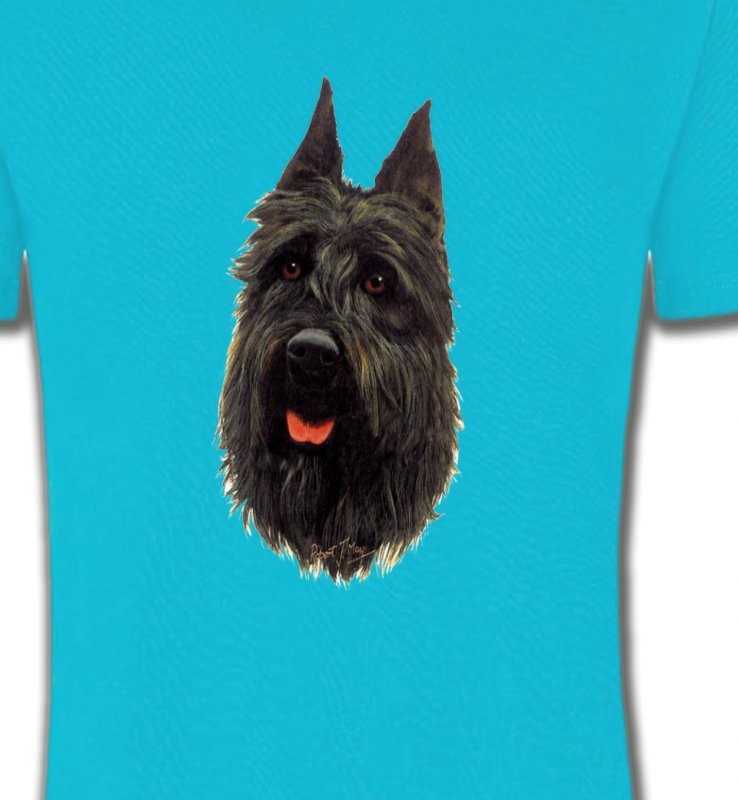 Bouvier des Flandres noir (A)