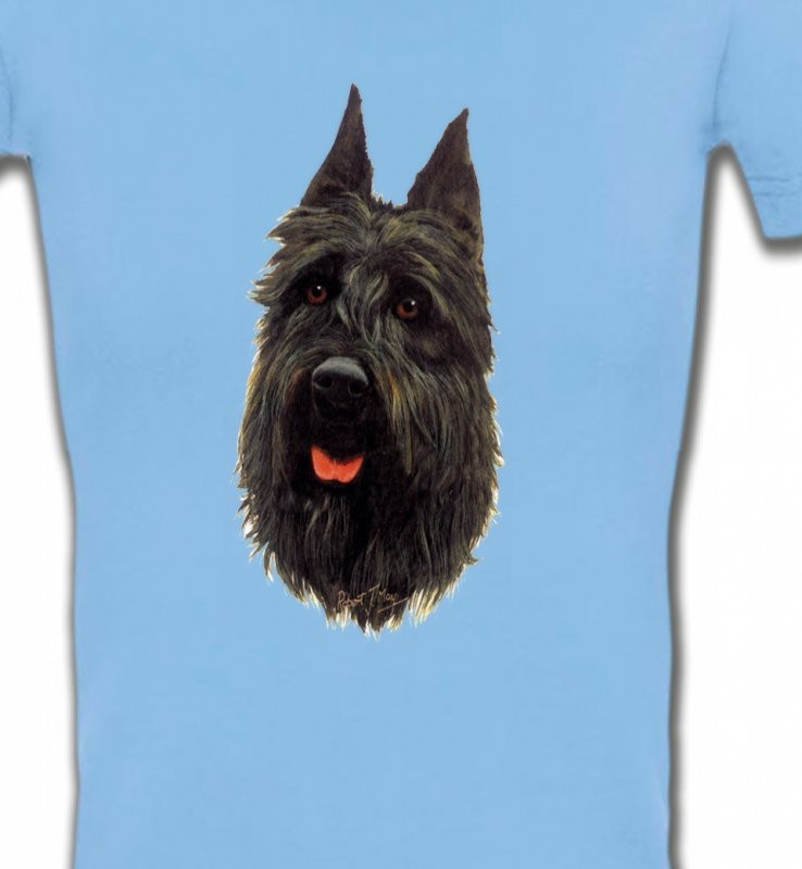 Bouvier des Flandres noir (A)
