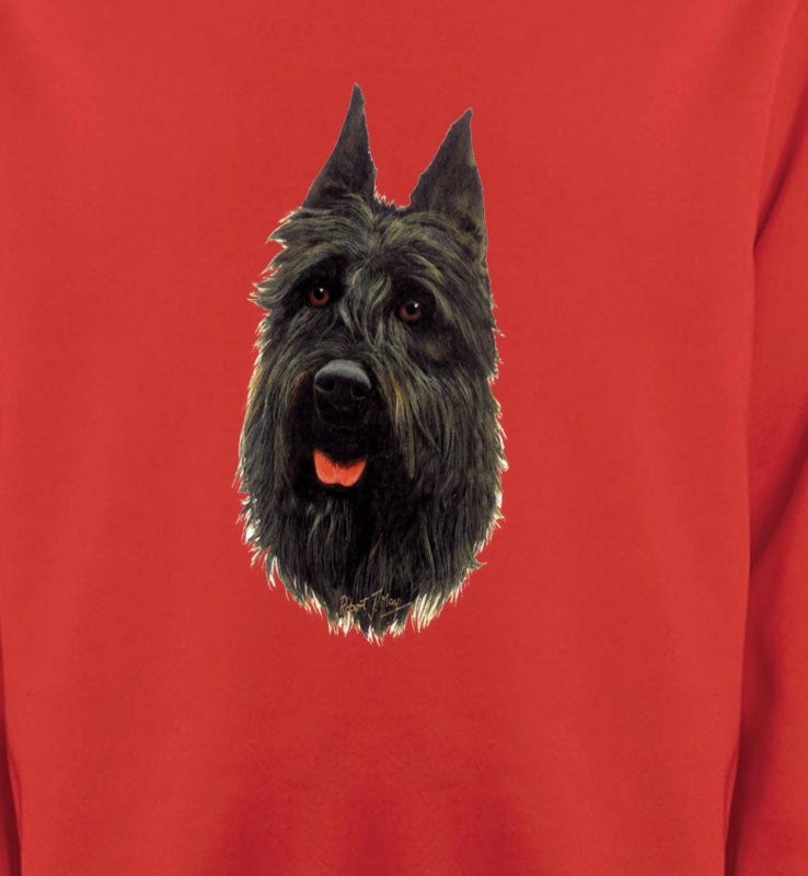 Bouvier des Flandres noir (A)