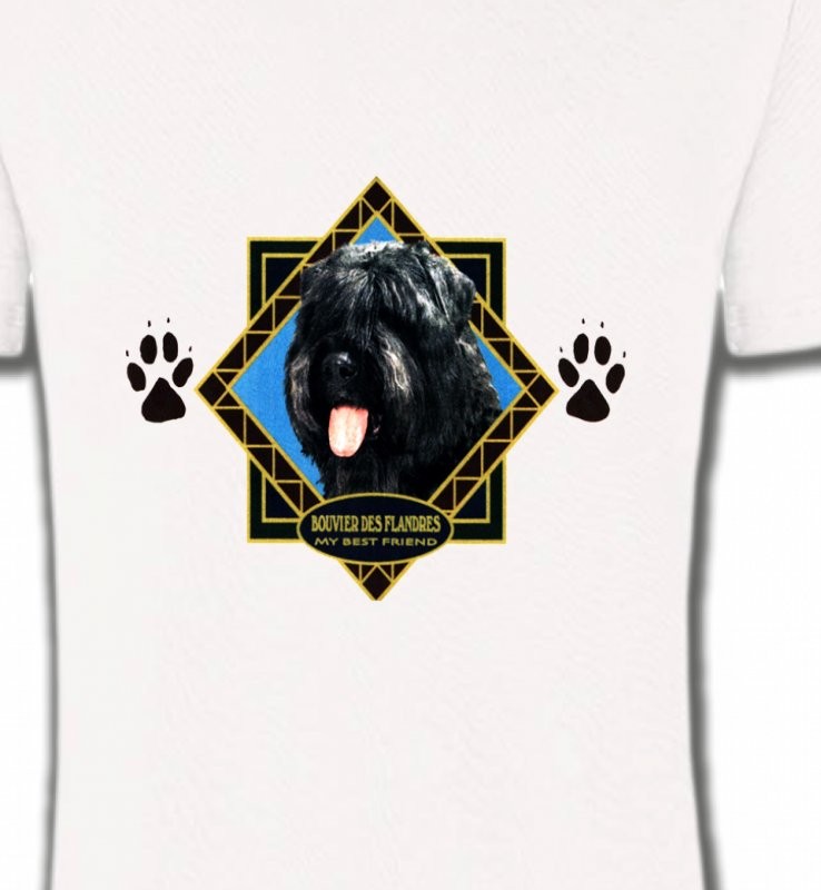 Bouvier des Flandres (B)