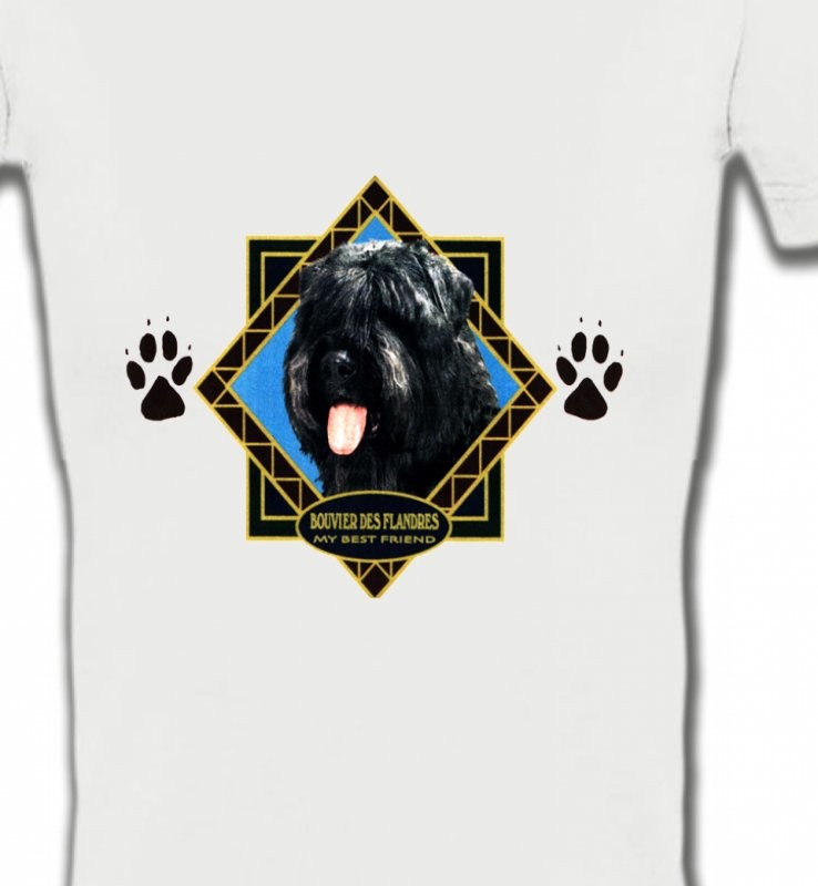 Bouvier des Flandres (B)