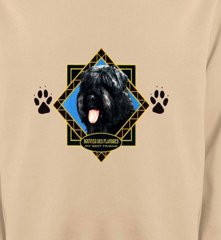Bouvier des Flandres (B)