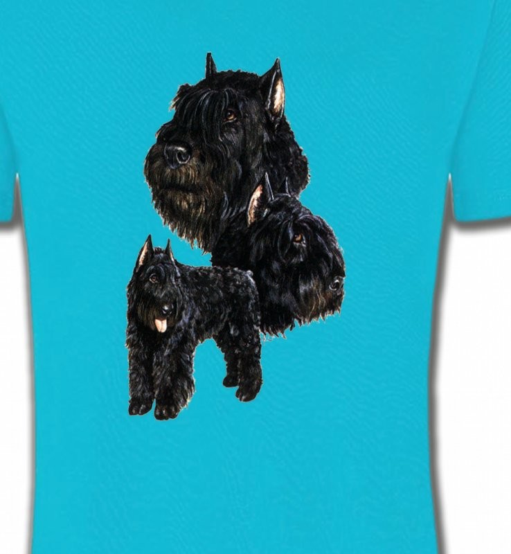 Bouvier des Flandres noir (C)