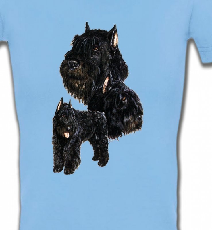 Bouvier des Flandres noir (C)