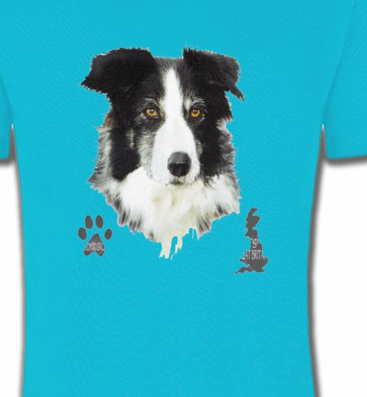 Border Collie noir et blanc (A)